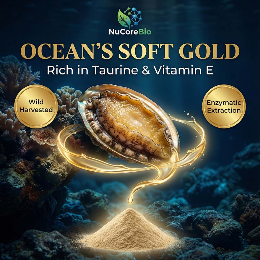 Abalone Peptide Powder | 500-1000 Dalton Small Molecule |  Rich in Taurine & Vitamin E | Bulk OEM/ODM for Liver & Immune Support  | Abalone  Protein Peptide - Image 3