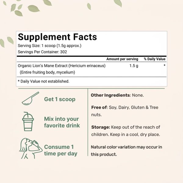 Bulk Organic Lions Mane Mushroom Powder for OEM/ODM | High Purity Nootropic Brain Supplement | USDA Certified Organic & Non-GMO Raw Material | Private Label Cognitive Support for Amazon TikTok Sellers | Dual Extraction Focus & Memory Booster