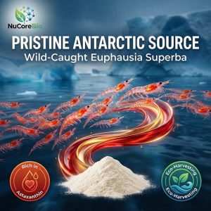 Antarctic Krill Peptide Powder Bulk OEM/ODM | 800-1000Da Small Molecule Krill Protein Extract | High Absorption Astaxanthin & Omega-3 Supplement | Sustainable Euphausia Superba Source for Heart & Joint Health | GMP Certified Private Label Manufacturer - Image 3