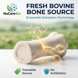 Hydrolyzed Bovine Bone Collagen Peptide Bulk OEM/ODM | 900-1200Da Small Molecule Protein Powder | High Absorption Bone Density Support Supplement | Traceable Fresh Grass-Fed Source | GMP, ISO, HALAL Certified Factory - Image 3