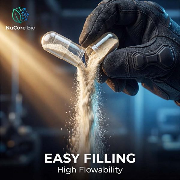 Bulk Organic Lion's Mane Mushroom Extract Powder | Beta-Glucan Verified Fruiting Body | OEM Private Label Supplement | US Stock 2-5 Days Delivery | High Flowability