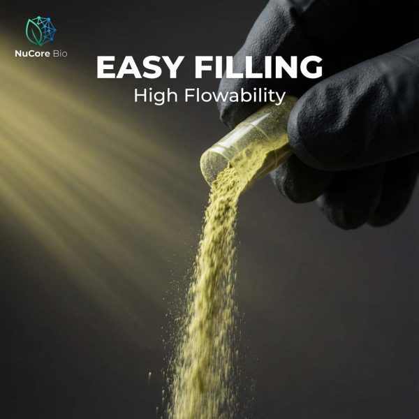 Quercetin Powder Bulk 95% Purity HPLC Tested | Sophora Japonica Extract Supplement | OEM ODM Private Label Service | Immune Support & Antioxidant | US Stock Fast Delivery 2-5 Days