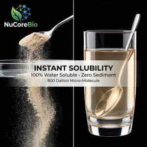 Pure Sea Cucumber Peptide Powder | <1000 Dalton Oligopeptide | Immune Support OEM/ODM | GMP Certified Marine Collagen Bulk |  Sea Cucumber  Protein Peptide | - Image 4