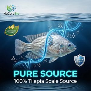 Collagen Tripeptide Powder | Ultra-Low Dalton <500 Da High GPH | Bulk Hydrolyzed Tilapia Scale Collagen for Beauty & Health | Private Label OEM/ODM Global Supply - GMP & ISO Certified - Image 4