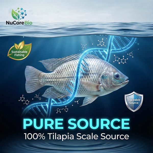 Collagen Tripeptide Powder | Ultra-Low Dalton <500 Da High GPH | Bulk Hydrolyzed Tilapia Scale Collagen for Beauty & Health | Private Label OEM/ODM Global Supply - GMP & ISO Certified