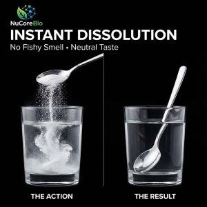 Premium Marine Fish Oligopeptide Powder | 800 Da Micro-Molecular Deep Sea Wild Caught Cod Collagen | greater than 95% High Absorption Bioavailable Peptide | Bulk Global OEM/ODM Supply - GMP ISO HACCP Certified - Image 4