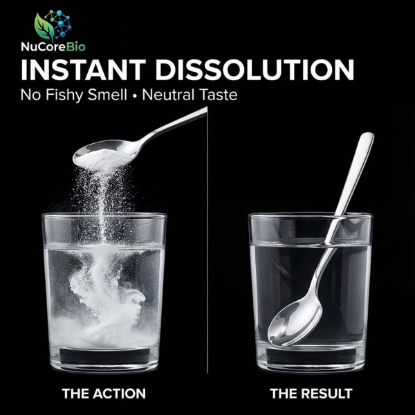 Premium Marine Fish Oligopeptide Powder | 800 Da Micro-Molecular Deep Sea Wild Caught Cod Collagen | greater than 95% High Absorption Bioavailable Peptide | Bulk Global OEM/ODM Supply - GMP ISO HACCP Certified