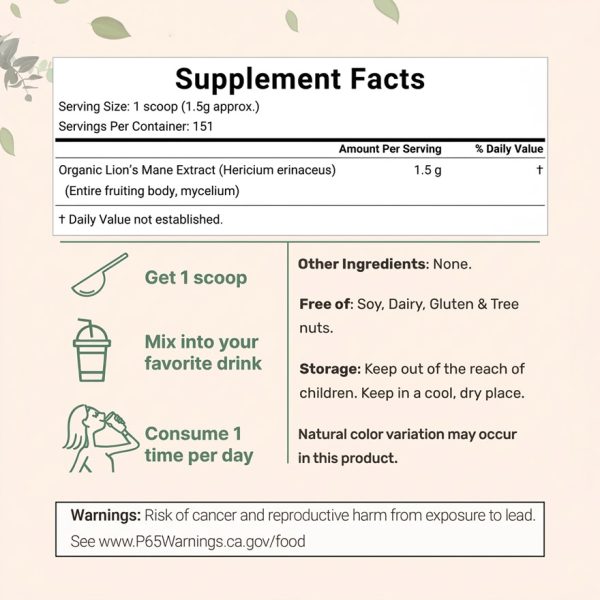 Bulk Organic Lions Mane Mushroom Powder for OEM/ODM | High Purity Nootropic Brain Supplement | USDA Certified Organic & Non-GMO Raw Material | Private Label Cognitive Support for Amazon TikTok Sellers | Dual Extraction Focus & Memory Booster