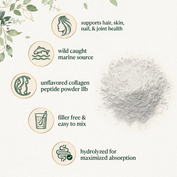 Pure Marine Collagen Peptides Powder Bulk | Wild Caught Hydrolyzed Fish Collagen for OEM/ODM | High Absorption Skin & Joint Health Supplement | Private Label Unflavored Protein Powder 1lb | Non-GMO Filler-Free Wellness Manufacturer Wholesale