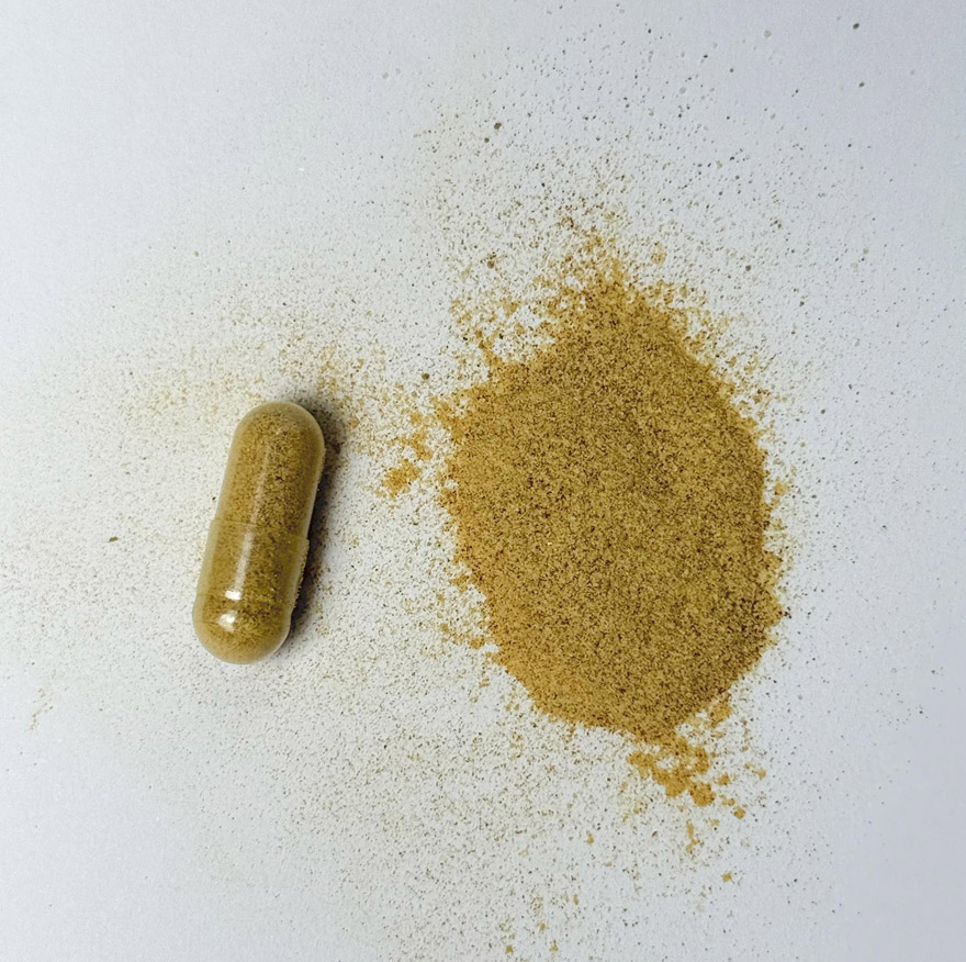 OEM Private Label Tongkat Ali Fadogia Agrestis Capsules | Custom Formula Men