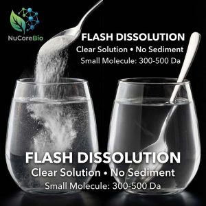 Premium Ginseng Peptide Powder, 300-500Da Small Molecule Panax Ginseng Extract, High Ginsenoside Content for Immune Support & Vitality, GMP/ISO Certified Bulk Supply, Private Label OEM/ODM Service | Ginseng  Protein Peptide - Image 4