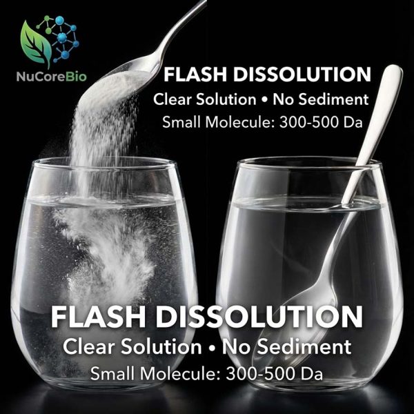 Premium Ginseng Peptide Powder, 300-500Da Small Molecule Panax Ginseng Extract, High Ginsenoside Content for Immune Support & Vitality, GMP/ISO Certified Bulk Supply, Private Label OEM/ODM Service | Ginseng Protein Peptide