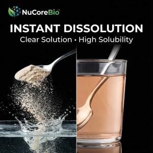 Pure Donkey-Hide Gelatin Peptide Powder, 300-500Da Bioactive Collagen for Hematopoiesis & Skin Radiance, Pharmaceutical Grade Colla Corii Asini, Global Bulk Supply, OEM/ODM Private Label Expert | Ejiao Peptide - Image 4