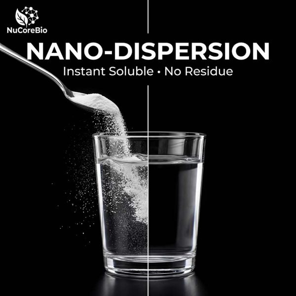 Bulk Salmon Collagen Peptide Powder | <300 Da Nano-Oligopeptide for Supplement OEM/ODM | Pure Marine Protein Hydrolysate, Wild-Caught, Bio-Enzymatic Extraction | GMP/ISO Certified Factory Direct Supply for Health Brands & Formulators