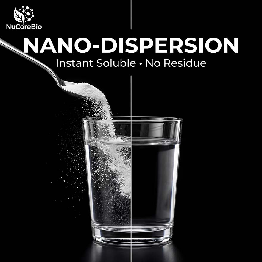 Bulk Salmon Collagen Peptide Powder | <300 Da Nano-Oligopeptide for Supplement OEM/ODM | Pure Marine Protein Hydrolysate, Wild-Caught, Bio-Enzymatic Extraction | GMP/ISO Certified Factory Direct Supply for Health Brands & Formulators - Image 4