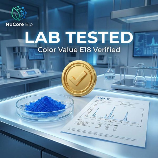 Bulk Phycocyanin Powder E18 E25 | Pure Blue Spirulina Extract | Pharmaceutical Grade Natural Pigment OEM/ODM Custom Logo