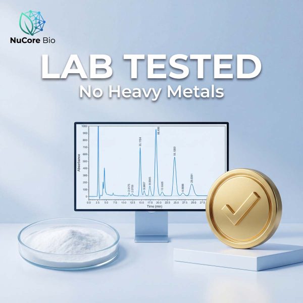 98% Sialic Acid Powder Bulk OEM/ODM | Pure N-Acetylneuraminic Acid (NANA) Supplement | Private Label Bird's Nest Extract for Brain & Skin | High Flowability Sialic Acid Capsules | US Stock Fast Delivery | Lab Tested No Heavy Metals