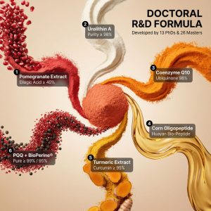 Urolithin A Mito-Power Capsules | Bulk OEM/ODM Mitochondrial Health Supplement | High-Purity PQQ & Corn Oligopeptide Formula | Private Label Longevity Nutratech | Cellular Energy & Anti-Aging Sourcing | Low MOQ - Image 5