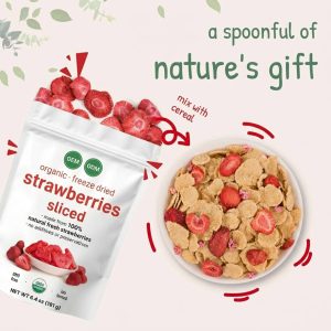 Bulk Organic Freeze-Dried Strawberry Slices for OEM/ODM | 100% Natural Sliced Dried Fruit No Added Sugar | USDA Certified Organic & Non-GMO Healthy Snacks | Private Label Freeze-Dried Fruit for Amazon TikTok Sellers | Eco-Friendly Bulk Supply - Image 5
