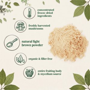 Bulk Organic Lions Mane Mushroom Powder for OEM/ODM | High Purity Nootropic Brain Supplement | USDA Certified Organic & Non-GMO Raw Material | Private Label Cognitive Support for Amazon TikTok Sellers | Dual Extraction Focus & Memory Booster - Image 5