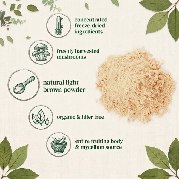 Bulk Organic Lions Mane Mushroom Powder for OEM/ODM | High Purity Nootropic Brain Supplement | USDA Certified Organic & Non-GMO Raw Material | Private Label Cognitive Support for Amazon TikTok Sellers | Dual Extraction Focus & Memory Booster