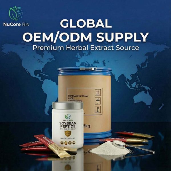 Bulk Soybean Peptide Powder | Small Molecule 300-500 Da Non-GMO Soy Protein Hydrolysate | Private Label Supplement OEM/ODM Supply | Soybean  Protein Peptide