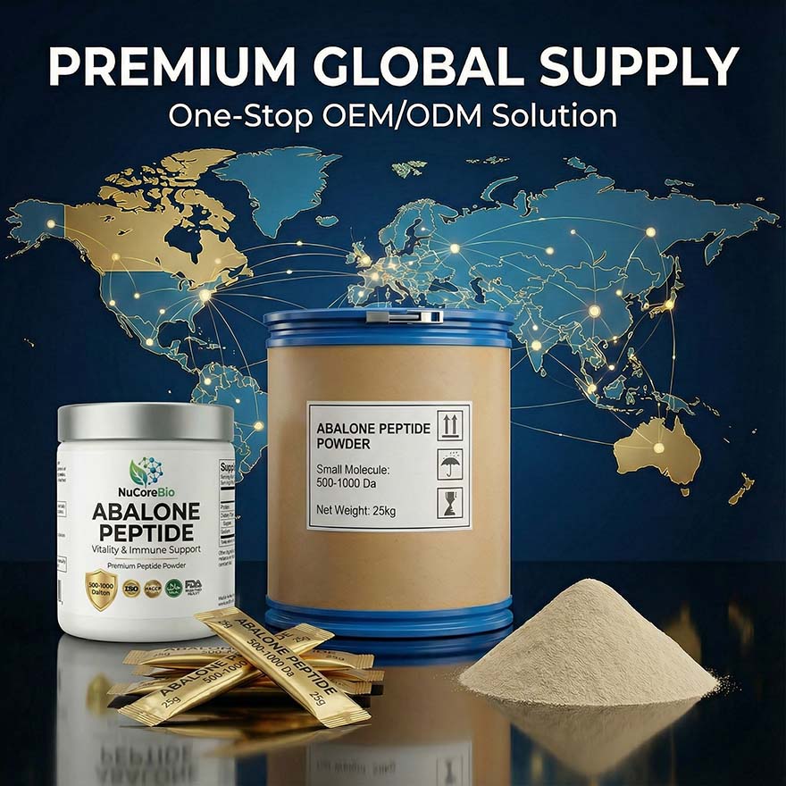 Abalone Peptide Powder | 500-1000 Dalton Small Molecule |  Rich in Taurine & Vitamin E | Bulk OEM/ODM for Liver & Immune Support  | Abalone  Protein Peptide - Image 6