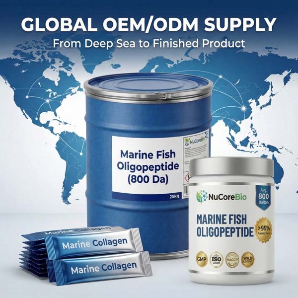 Premium Marine Fish Oligopeptide Powder | 800 Da Micro-Molecular Deep Sea Wild Caught Cod Collagen | greater than 95% High Absorption Bioavailable Peptide | Bulk Global OEM/ODM Supply - GMP ISO HACCP Certified