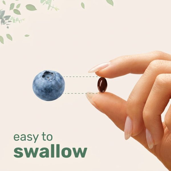 Bulk Beet Root Softgels with MCT Oil for Nitric Oxide Support | Custom Formula Health Supplement OEM/ODM | High Bioavailability Beetroot Extract Capsules | Private Label Nootropic & Athletic Performance Builder | Sustainable Recyclable Packaging Wholesale