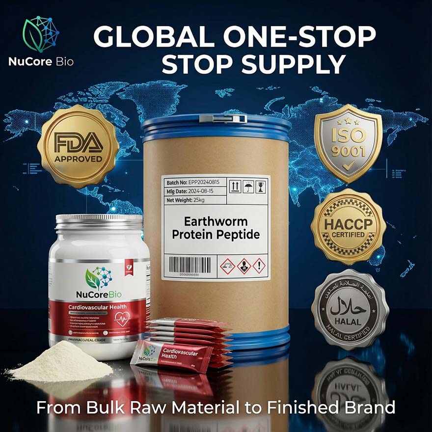 Premium Earthworm Protein Peptide Powder, 400-600Da Small Molecule Eisenia Fetida Extract, High Fibrinolytic Activity for Cardiovascular Health, GMP/ISO Certified Bulk Supply, Private Label OEM/ODM Service - Image 6