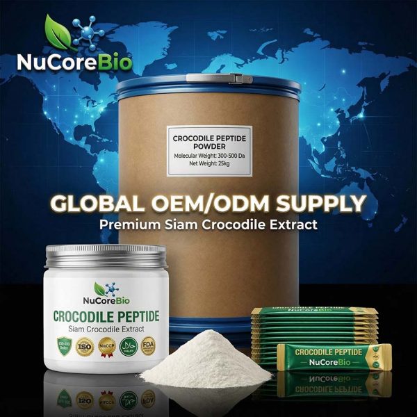 Bulk Crocodile Peptide Powder OEM/ODM | 300-500 Da Small Molecule Siam Crocodile Extract for Immunity & Bio-Repair |Crocodile Protein Peptide