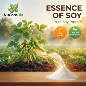 Bulk Soybean Peptide Powder | Small Molecule 300-500 Da Non-GMO Soy Protein Hydrolysate | Private Label Supplement OEM/ODM Supply | Soybean  Protein Peptide - Image 6