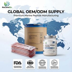 Bulk Salmon Collagen Peptide Powder | <300 Da Nano-Oligopeptide for Supplement OEM/ODM | Pure Marine Protein Hydrolysate, Wild-Caught, Bio-Enzymatic Extraction | GMP/ISO Certified Factory Direct Supply for Health Brands & Formulators - Image 6