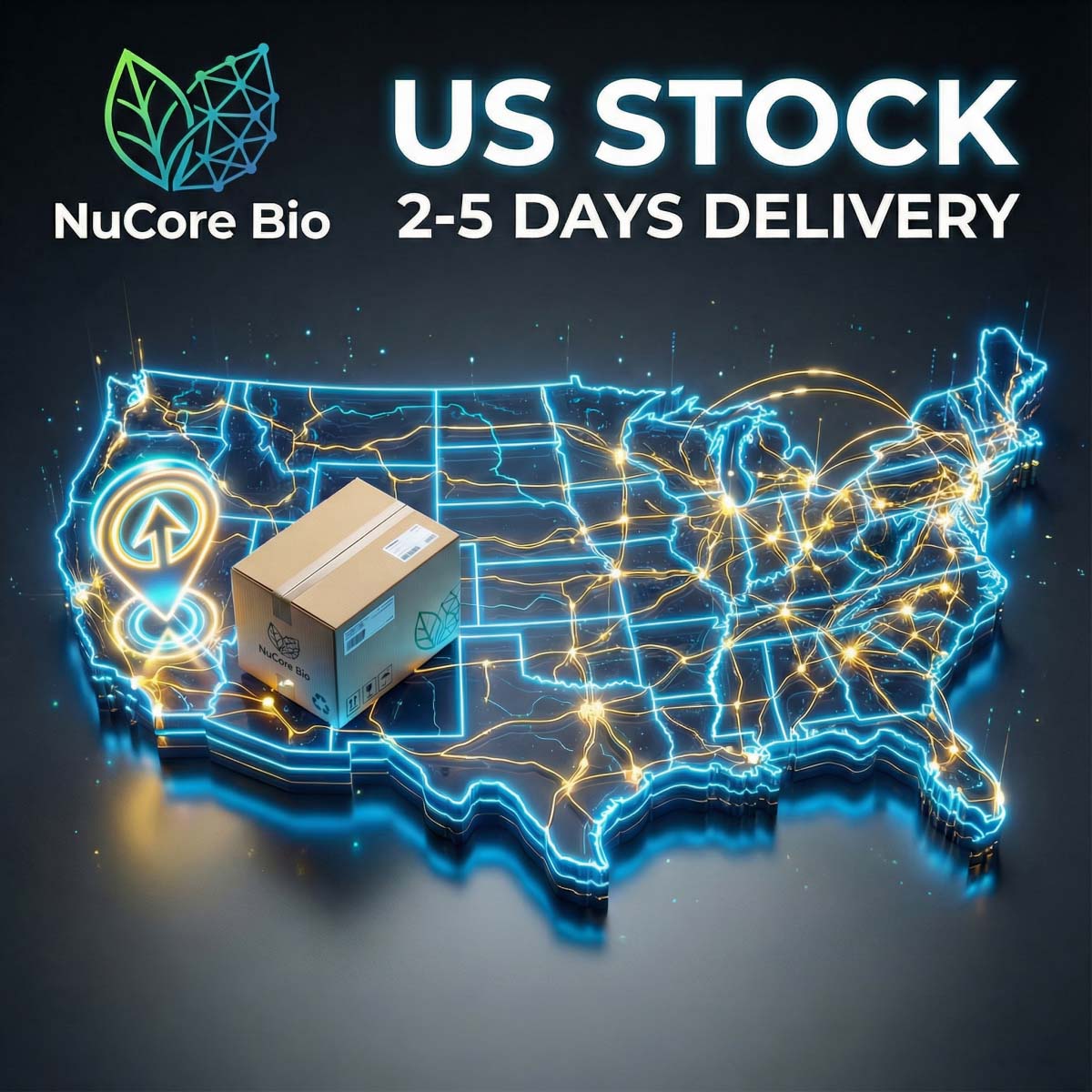 Bulk Vitamin K2 MK-7 Powder & Capsules | 99% All-Trans Natto Derived | Private Label OEM/ODM | US Stock Fast Delivery | Bone & Heart Health - Image 6