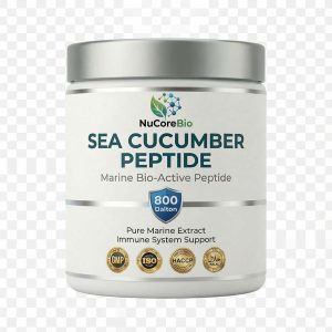 Pure Sea Cucumber Peptide Powder | <1000 Dalton Oligopeptide | Immune Support OEM/ODM | GMP Certified Marine Collagen Bulk |  Sea Cucumber  Protein Peptide | - Image 7