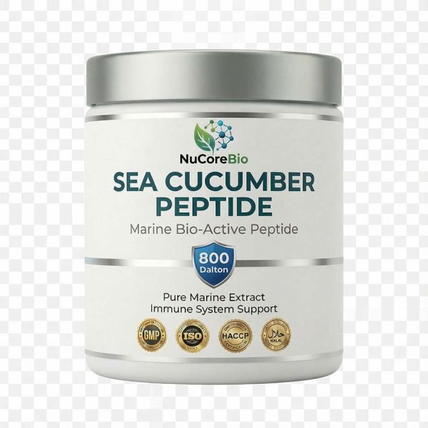 Pure Sea Cucumber Peptide Powder | <1000 Dalton Oligopeptide | Immune Support OEM/ODM | GMP Certified Marine Collagen Bulk | Sea Cucumber Protein Peptide |