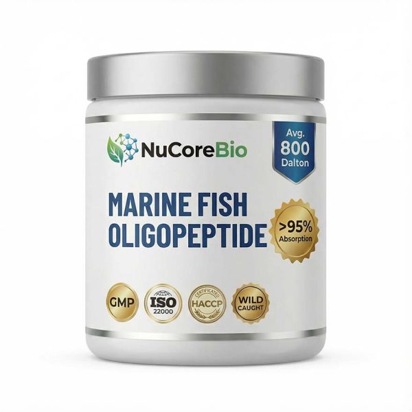 Premium Marine Fish Oligopeptide Powder | 800 Da Micro-Molecular Deep Sea Wild Caught Cod Collagen | greater than 95% High Absorption Bioavailable Peptide | Bulk Global OEM/ODM Supply - GMP ISO HACCP Certified