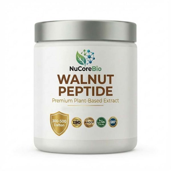 Bulk Walnut Peptide Powder | 300-500 Da Small Molecule Plant Protein for Brain Health | Non-GMO Cognitive Support OEM ODM Supply