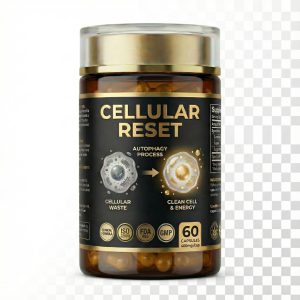 OEM Private Label Cellular Reset Capsules: Wheat Germ Peptide Autophagy Formula | High-Purity Spermidine EGCG Curcumin ODM - Image 7