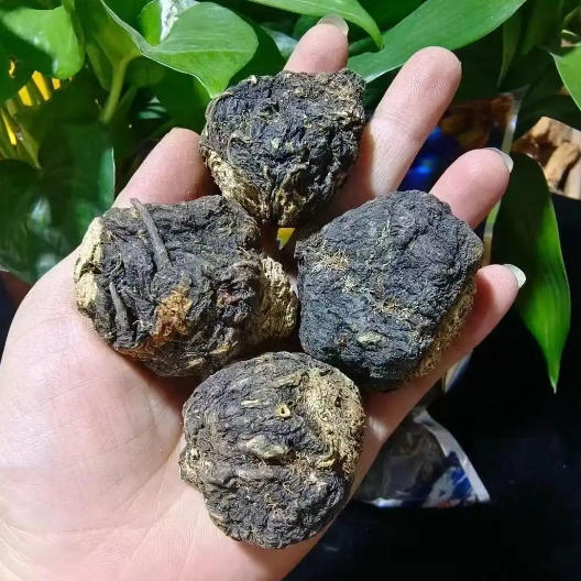 Maca & Epimedium Active Peptide Formula: The High-Conversion Growth Engine for 2026 Men’s Health Brands