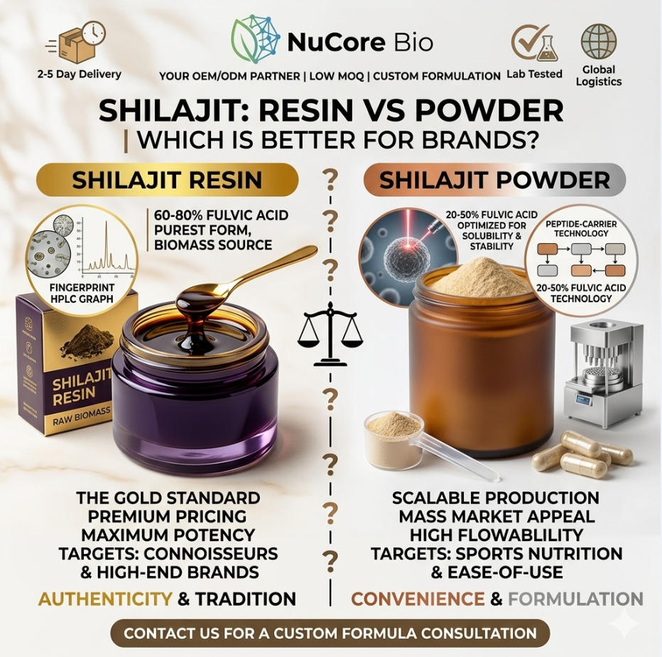 Shilajit Resin vs Powder: Which is Better for Your Supplement Brand?