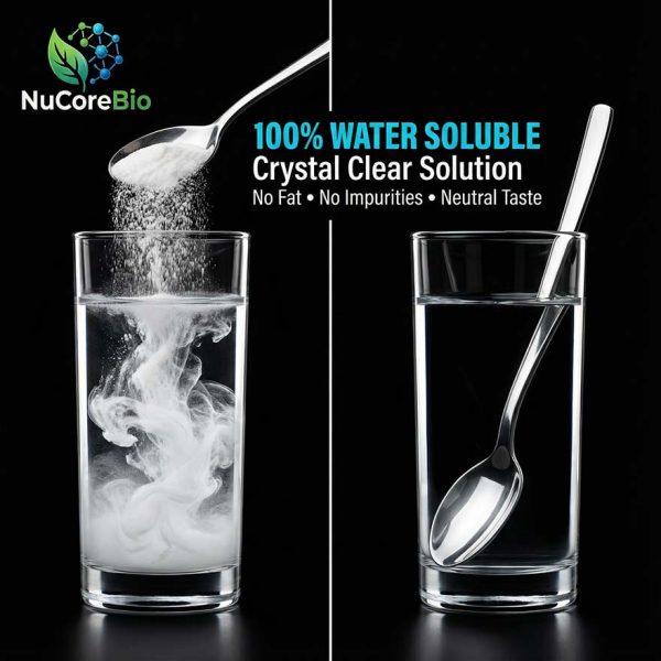 Bulk Corn Oligopeptide Powder | 300-500 Da Small Molecule Corn Peptides for Liver Health | Non-GMO Plant Protein OEM ODM Supply