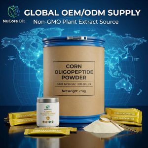Bulk Corn Oligopeptide Powder | 300-500 Da Small Molecule Corn Peptides for Liver Health | Non-GMO Plant Protein OEM ODM Supply - Image 6