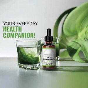 Private Label Liquid Chlorophyll Drops 50mg - Natural Energy & Internal Deodorant - OEM/ODM Detox & Skin Health Supplement Factory - Image 2