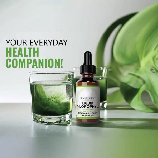Private Label Liquid Chlorophyll Drops 50mg - Natural Energy & Internal Deodorant - OEM/ODM Detox & Skin Health Supplement Factory