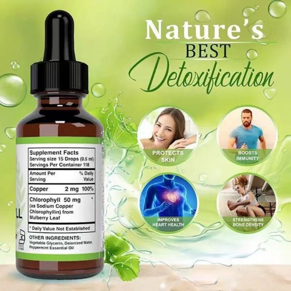 Private Label Liquid Chlorophyll Drops 50mg - Natural Energy & Internal Deodorant - OEM/ODM Detox & Skin Health Supplement Factory