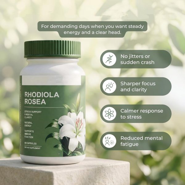 Bulk Rhodiola Rosea Extract Capsules | Pure Adaptogen Supplement for Stress Support & Mental Clarity | Private Label OEM/ODM Manufacturing & Custom Formula Services | High Potency Natural Energy Booster Wholesale | 60 Capsules In Stock Ready to Ship