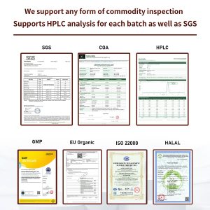 Bulk Active Joint Repair Peptides Powder | Private Label OEM/ODM Botanical Extract Supplement | Dual-Pathway Anti-Inflammatory COX-2 5-LOX | High Bioavailability Curcumin Boswellia MSM Glucosamine | Wholesale Joint Health Formulation for Sports Nutrition & Senior Care - Image 9