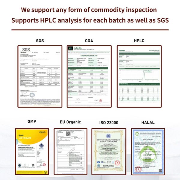 Bulk Active Joint Repair Peptides Powder | Private Label OEM/ODM Botanical Extract Supplement | Dual-Pathway Anti-Inflammatory COX-2 5-LOX | High Bioavailability Curcumin Boswellia MSM Glucosamine | Wholesale Joint Health Formulation for Sports Nutrition & Senior Care