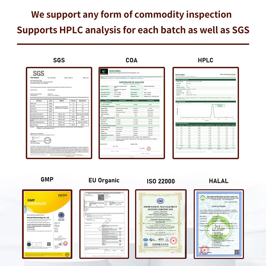 OEM Berberine HCl 1000mg Powder | Triple AMPK Activation Formula | High-Absorption Bioavailability with Piperine | Natural GLP-1 Support Supplement | Stable Post-Meal Blood Sugar Control | Private Label Metabolic Blend | Custom Weight Management Solutions - Image 10